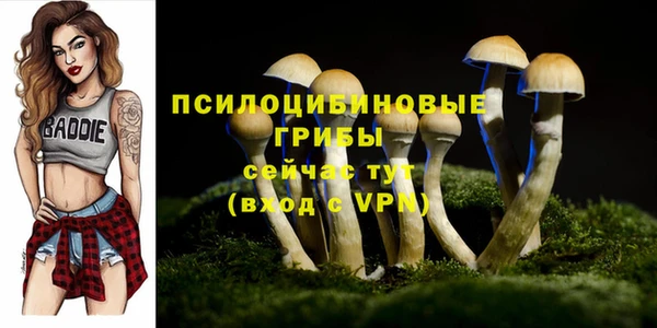 метадон Мурманск