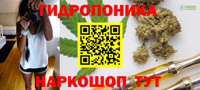 ECSTASY Аргун