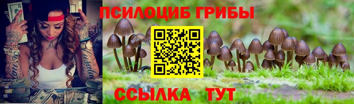 Галлюциногенные грибы ЛСД  Вход с VPN  где купить наркоту  Апшеронск 